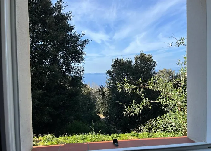 Appartement Noël En Corse Entre Et Maquis Indépendant *