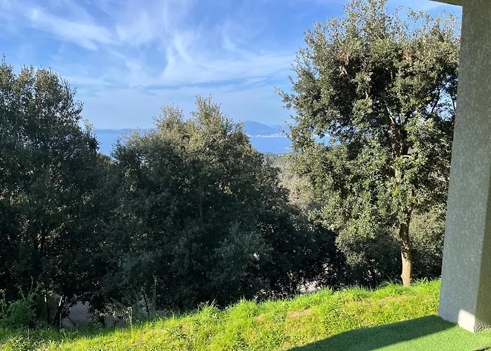 Noël En Corse Entre Et Maquis Indépendant